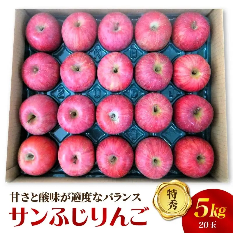 りんご（サンふじ）５ｋｇ　２０玉　特秀品　0056-2622