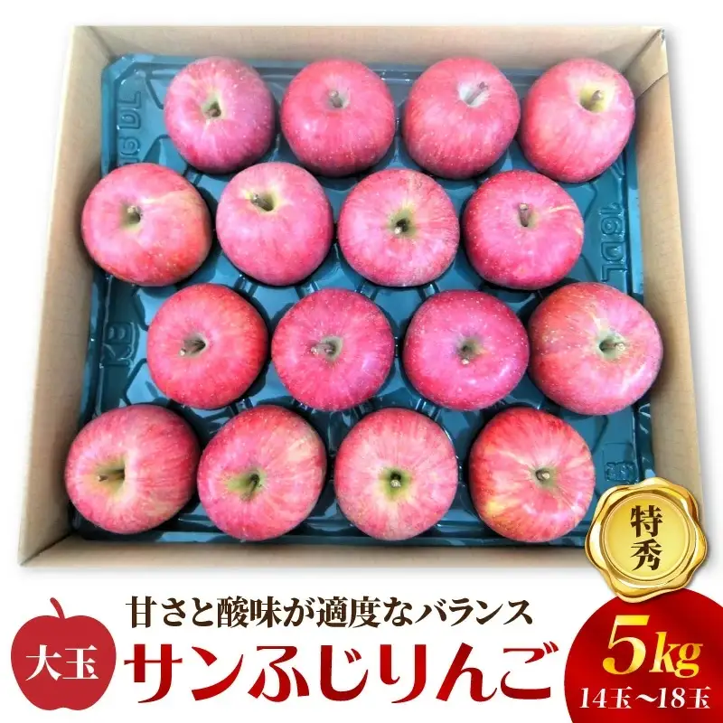 りんご（サンふじ）５ｋｇ　１４～１８玉　特秀品　0056-2623