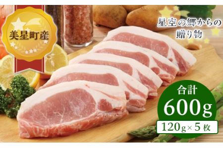 A-12ローステキカツ(120g×5枚)【美星町産豚肉】