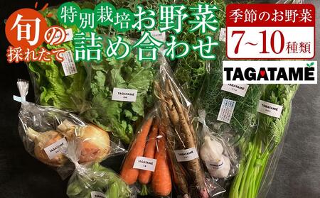 特別栽培 旬の採れたて 7～10種類お野菜詰め合わせセット TAGATAME タガタメ【野菜 特別栽培 有機野菜 農薬不使用 無農薬】