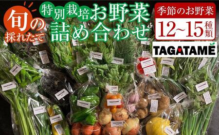 特別栽培 旬の採れたて 12～15種類お野菜詰め合わせセット TAGATAME タガタメ【野菜 特別栽培 大容量 有機野菜 農薬不使用 無農薬】