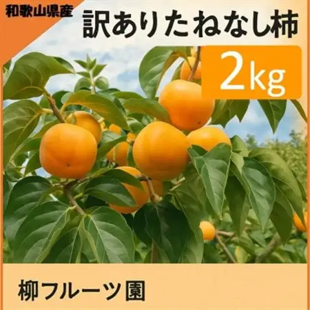 柿【先行受付】柳フルーツ園(訳あり)たねなし柿 約2kg_果物・フルーツ 柿（カキ）  かき_【1430462】