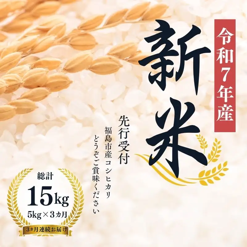 No.1501【令和7年産】大文字屋米穀店【定期便3回】コシヒカリ 5kg 精米（3か月連続お届け）