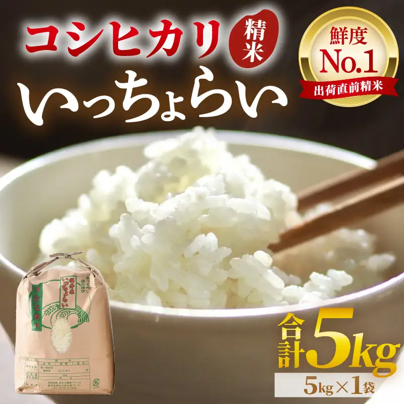 【先行予約】【令和8年産・新米】【一等米】いっちょらい 精米 5kg ／ 福井県産 ブランド米 ご飯 白米 お米 コメ 新鮮 大賞 受賞 新米 福井県あわら産 ※2026年9月下旬以降順次発送予定 [aw012-a030]