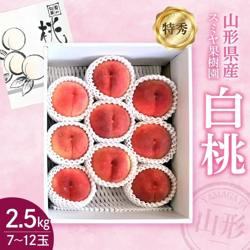 白桃　２.５ｋｇ　特秀品　0047-2604
