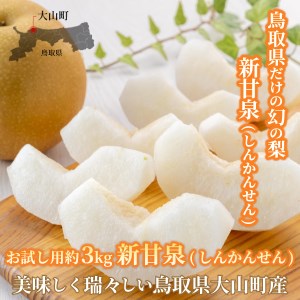 【先行予約】DS-15　新甘泉梨（しんかんせんなし）（３ｋｇ）