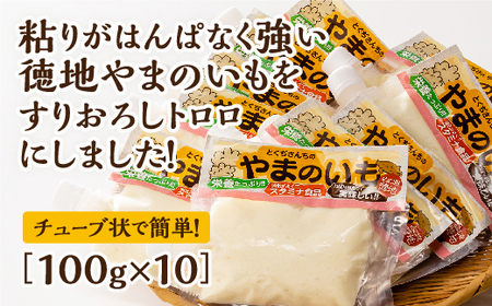 C136 徳地やまのいものすりおろしトロロ　100g×10個