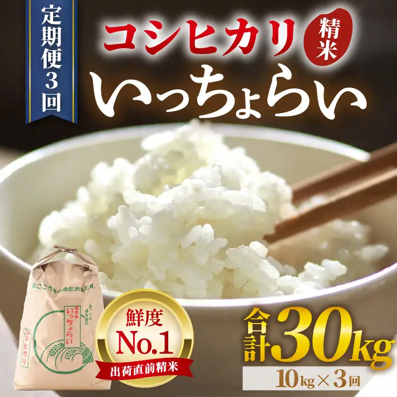 【先行予約】【令和8年産・新米】【一等米】《定期便3回》いっちょらい 精米 10kg × 3回（計30kg）／ 福井県産 ブランド米 コシヒカリ ご飯 白米 新鮮 大賞 受賞 新米 福井県あわら産 ※2026年10月上旬以降順次発送予定 [aw012-f013]