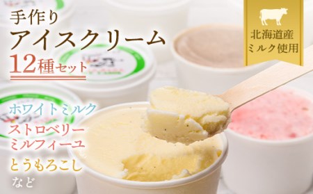 《2026年4月発送》北海道産 手作りアイスクリーム 120ml×12個セット (おまかせ詰め合わせ)  南幌町 NP1-023
