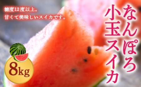 北海道産 小玉スイカ 約8kg 4〜6玉 なんぽろ小玉すいか 8月発送 シャリシャリ食感 南幌町産 NP1-270