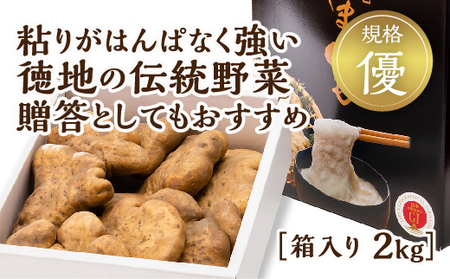 D534 徳地やまのいも箱入り2kg（優）