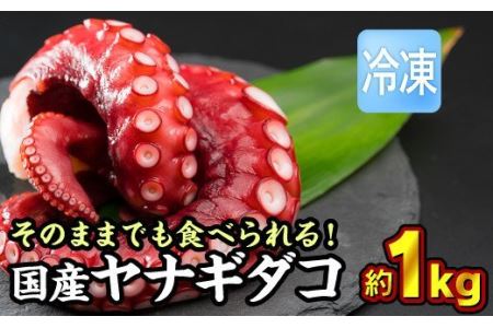 国産ヤナギダコ 約１kg たこ （250g × ４袋） 柳たこ  MT-10