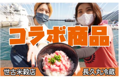 【尾鷲コラボ】ど旨いネギトロ丼セット　CH-68 