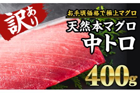 訳あり 天然本マグロ 中とろ柵２本（約400g） ＜お試し商品＞　CH-95