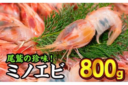 珍味！オニエビ（ミノエビ） ８００gセット 　HA-60