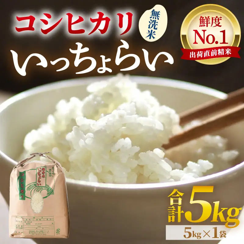 【先行予約】【令和8年産・新米】【一等米】いっちょらい 無洗米 5kg ／ 福井県産 ブランド米 コシヒカリ ご飯 白米 新鮮 大賞 受賞 ※2026年9月下旬以降順次発送予定 [aw012-a031]