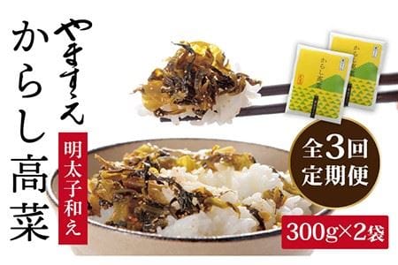 【 全3回 定期便 】明太子入り からし高菜 600g （ 300g × 2袋 ） 糸島市 / やますえ [AKA056] 明太高菜 ご飯のお供  ごはんのおとも 激辛 博多 漬物 辛子明太子 めんたいこ めんたい 高菜漬け