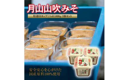 【現代の名工】月山山吹みそ 特選印カップ（つぶ）800g×3個セット　011-G-MT006