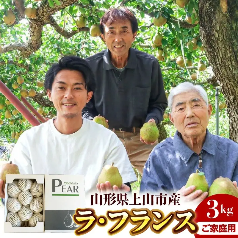 西洋梨（ラ・フランス）３ｋｇ　ご家庭用　0078-2602