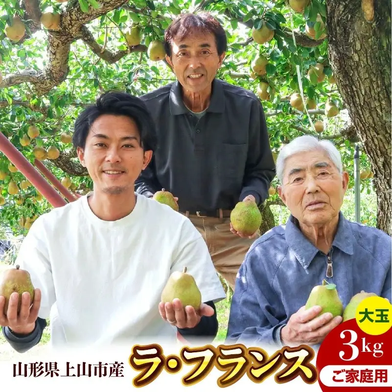 西洋梨（ラ・フランス）３ｋｇ　大玉　ご家庭用　0078-2603