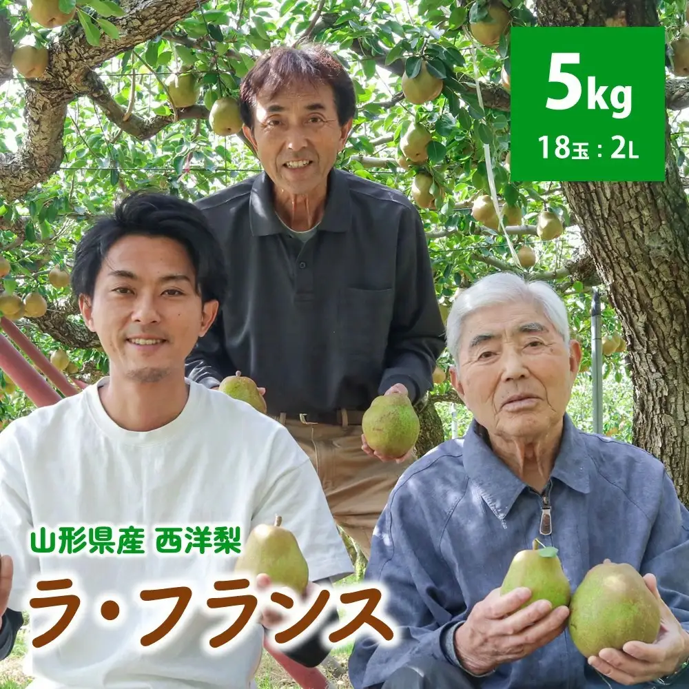 西洋梨（ラ・フランス）５ｋｇ　２Ｌ　0078-2605