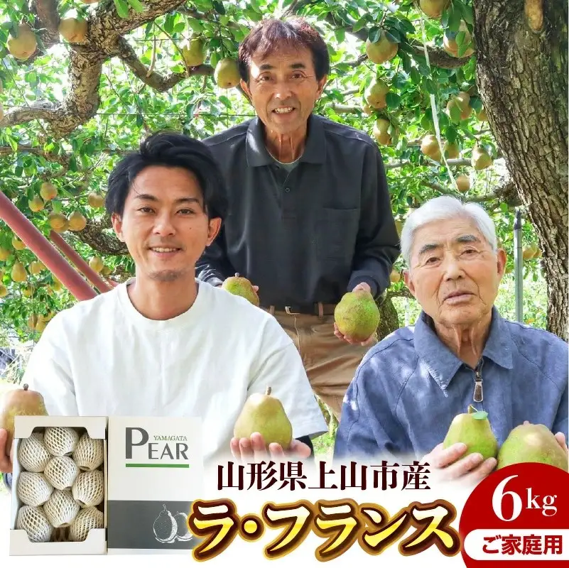 西洋梨（ラ・フランス）６ｋｇ　ご家庭用　0078-2606