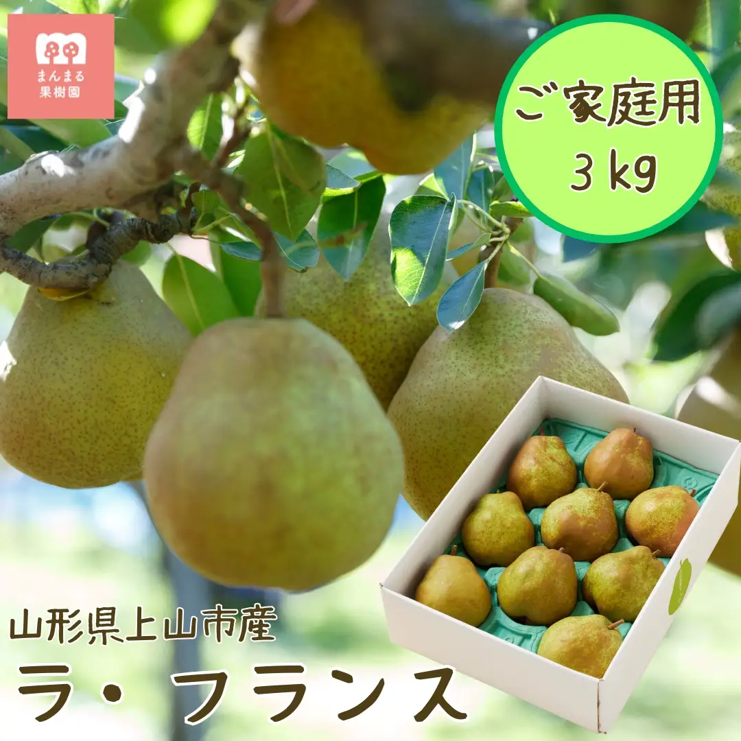 西洋梨（ラ・フランス）３ｋｇ　ご家庭用　0055-2609