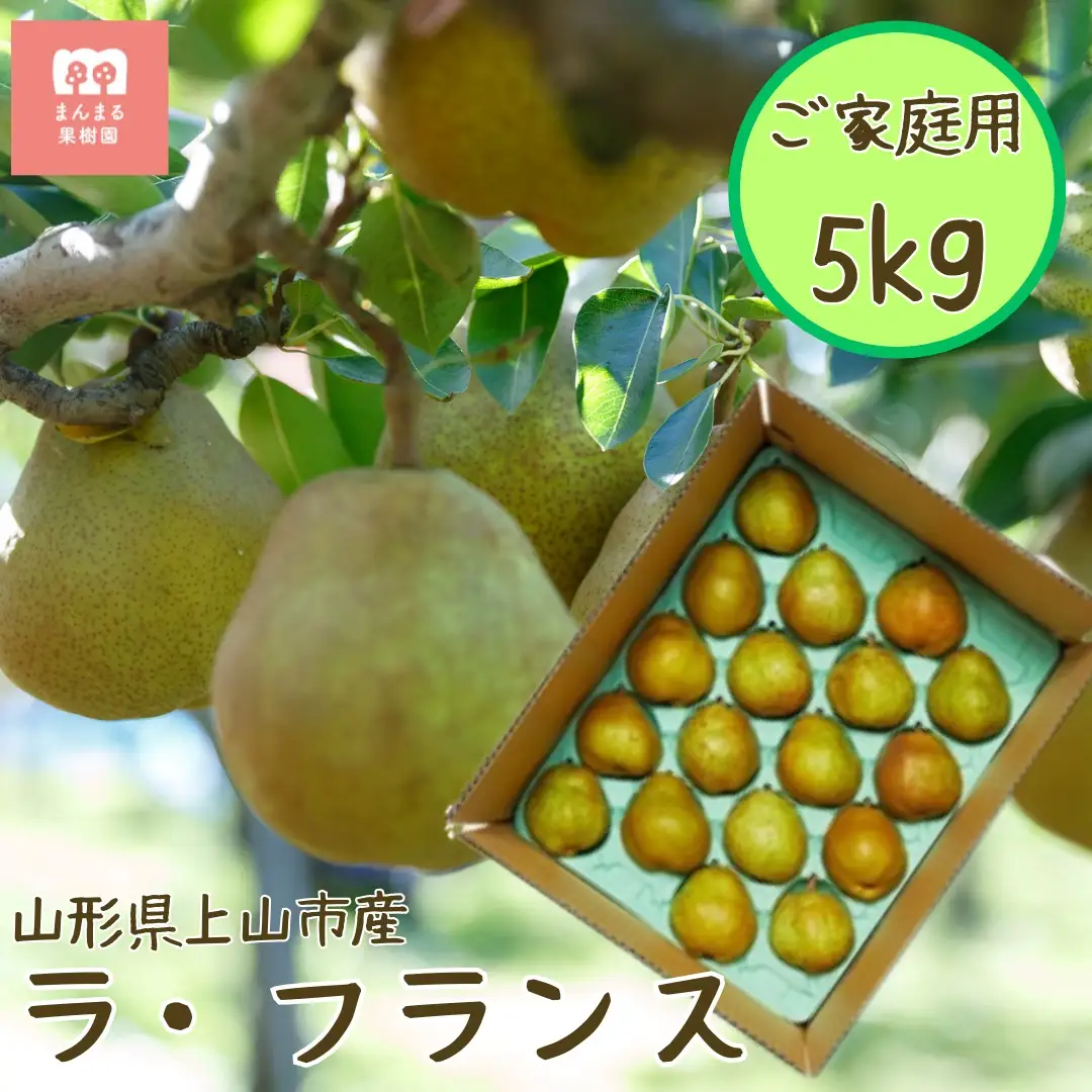 西洋梨（ラ・フランス）５ｋｇ　ご家庭用　0055-2612