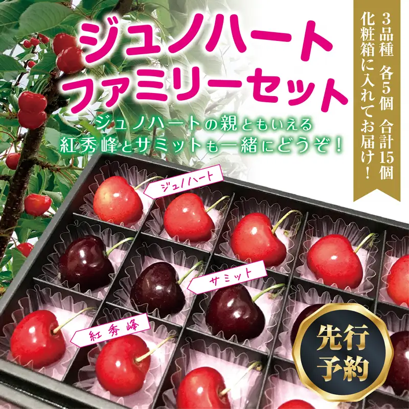 【食べ比べ3種】 さくらんぼ＜ジュノハート/サミット/紅秀峰＞ 各5粒・全15粒