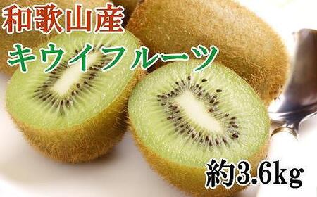 和歌山かつらぎ町産キウイフルーツ約3.6kg（玉数おまかせ）秀品【2027年1月中旬～2027年3月上旬頃順次発送】【TM021-tec】