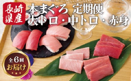 【隔月6回定期便】長崎県産 本まぐろ 3種セット  ( 大トロ 中トロ 赤身 ) 総計600g以上【本家永松屋】本マグロ