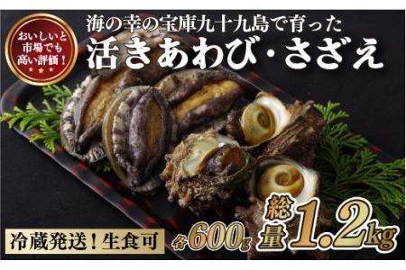 産地直送【 あわび・さざえセット】生食可 1.2kg あわび A176