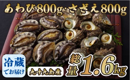 産地直送【 あわび・さざえセット】生食可 1.6kg あわび A177a