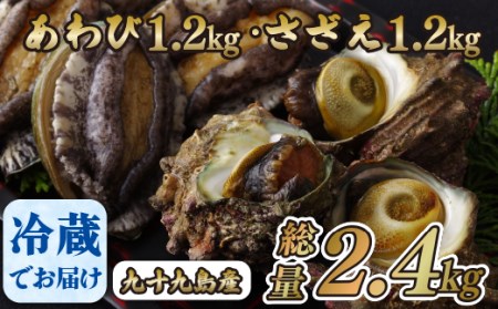 産地直送【 あわび・さざえセット】生食可 2.4kg あわび A179