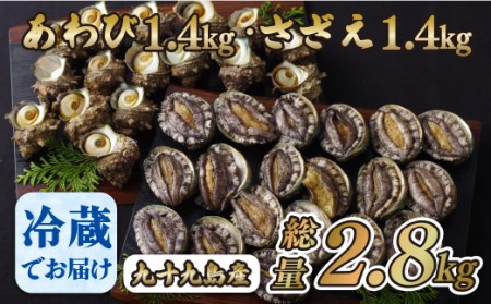 産地直送【 あわび・さざえセット】生食可 2.8kg あわび A180