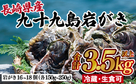 かき【 岩牡蠣 】九十九島岩かき 産地直送 生食可 A162 
