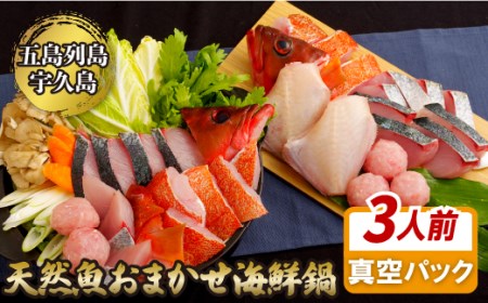  【産地直送】 海鮮鍋セット(3人前) 海鮮鍋 魚介類 A200