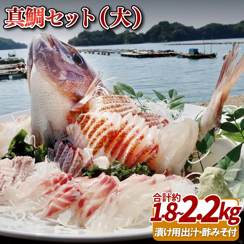 真鯛セット(大)
