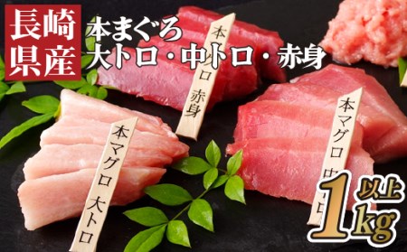 【 大トロ 中トロ 赤身 】本マグロ 1kg 海鮮丼 A122