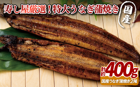 寿し屋厳選!特大うなぎの蒲焼き(国産)　鰻 ウナギ 