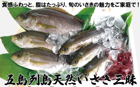 五島列島天然いさき三昧【宇久黒潮鮮魚】おいしい魚 刺身 新鮮 人気 鮮度