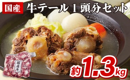 牛テール 【国産】 和牛テール肉 （1頭分）B302 