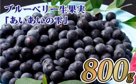 生ブルーベリー 【800g】ブルーベリー ベリー C151