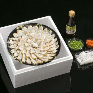 【着日指定可】天然まふくのタタキ刺し（約3～4人前）