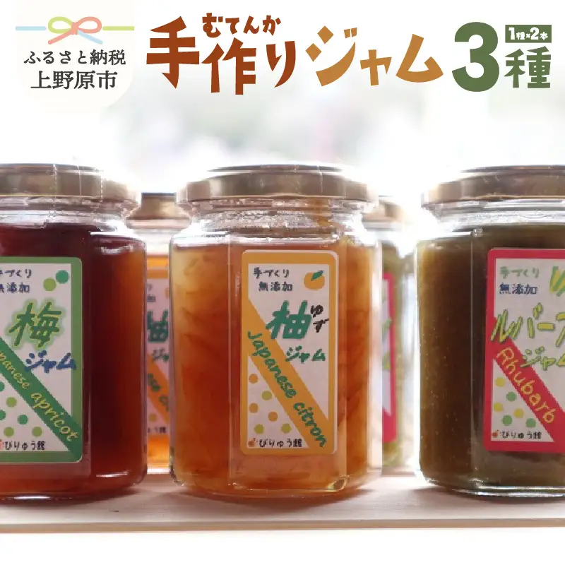 びりゅう館手作り　ジャム6本セット 無添加 ジャム 梅 ルバーブ ゆず セット フルーツ 手作り びりゅう館 手作りジャム6本セット プレゼント 贈り物 贈答 ギフト 夏ギフト 送料無料 山梨県 上野原市