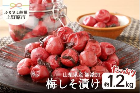 ＼先行予約！／ 西原ばあちゃんの手作り梅しそ漬け 梅しそ漬け 1.2kg 無添加 山梨県産 梅干し 手作り 人気 おすすめ うめぼし 紫蘇 しそ 国産 うめ ウメ ご飯 おにぎり 昔ながら やわらか ジューシー 風味豊か 自然の味 お取り寄せ ギフト プレゼント 贈り物 贈答 送料無料 山梨県 上野原市