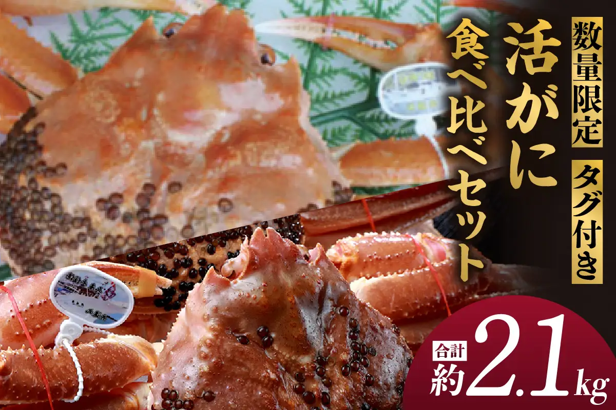 【数量限定】 タグ付き 活がに 食べ比べセット 黄金がに 1.0kg 松葉がに 1.1kg【令和8年11月中旬以降発送予定】 カニ かに  07-63