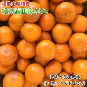 ［訳あり］和歌山有田みかん約5kg（S～Lサイズいずれかお届け）｜わけあり 産地直送 ご自宅用 柑橘 果物 フルーツ