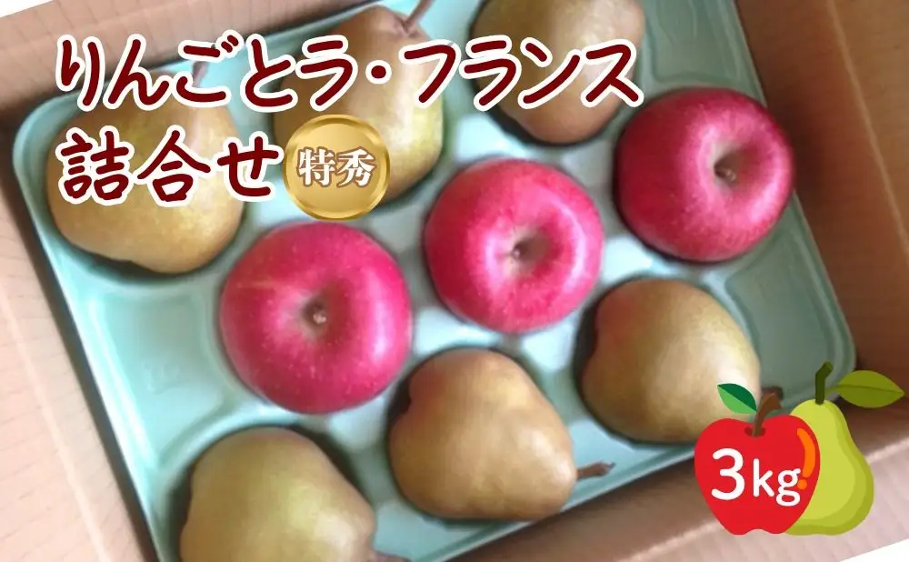 りんごとラ・フランス詰合せ　３ｋｇ　特秀品　贈答用　0007-2602