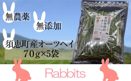 ペットフード うさぎ用 特選オーツヘイ 計350g | ペットフード